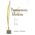 Phenomenology and Mysticism: The Verticality of Religious Experience - Paperback