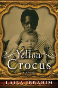 Yellow Crocus - Paperback