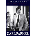 Turtle on a Post - Paperback