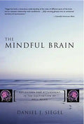 The Mindful Brain: Reflection and Attunement in the Cultivation of Well-Being - Hardcover