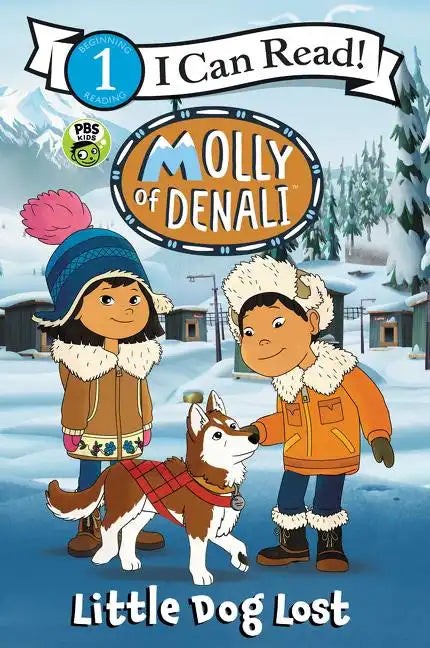 Molly of Denali: Little Dog Lost - Paperback