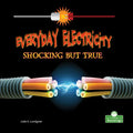 Everyday Electricity, Shocking But True - Paperback