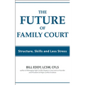 The Future of Family Court: Skills Structure and Less Stress - Paperback