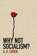 Why Not Socialism? - Hardcover