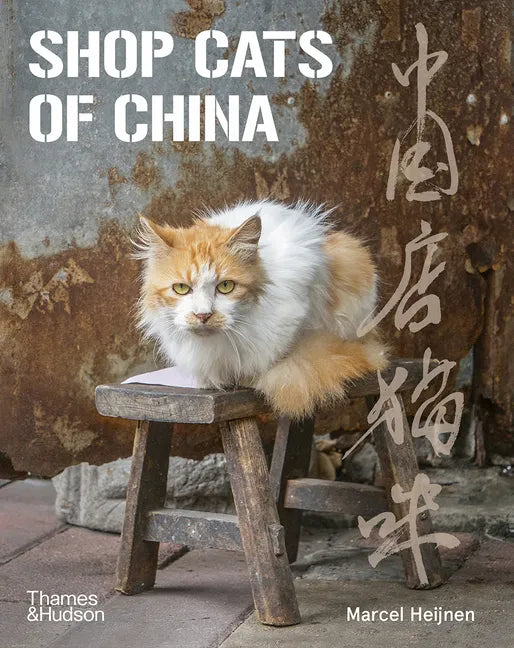 Shop Cats of China - Paperback