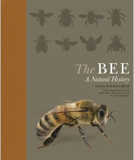 The Bee: A Natural History - Paperback