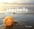 Seashells - Hardcover