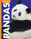 Curious about Pandas - Paperback