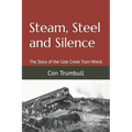 Steam, Steel and Silence: The Story of the Cole Creek Train Wreck - Paperback
