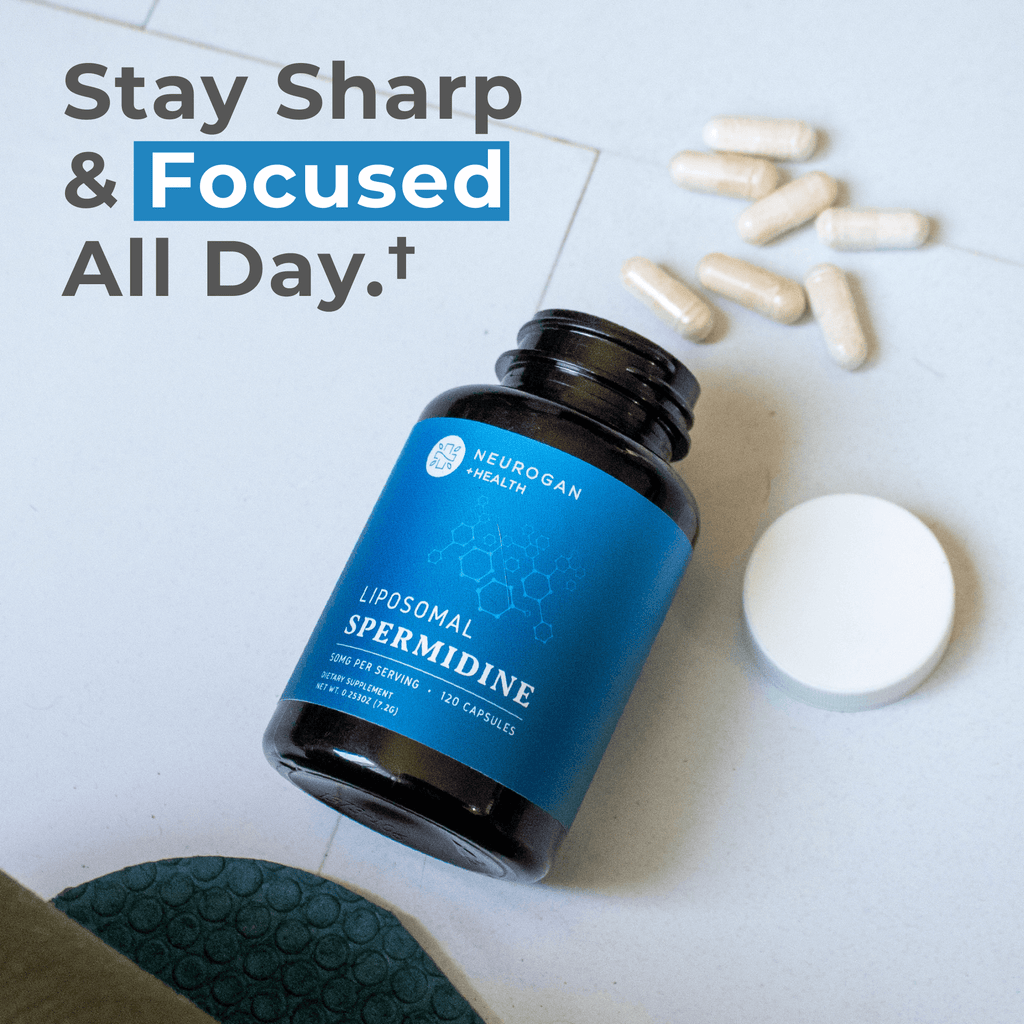 Liposomal Spermidine Capsules