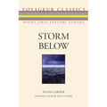 Storm Below - Paperback
