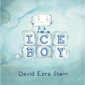 Ice Boy - Hardcover
