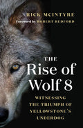 The Rise of Wolf 8: Witnessing the Triumph of Yellowstone's Underdog - Paperback