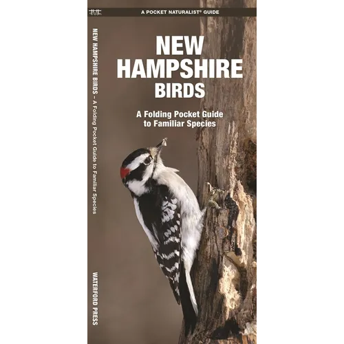 New Hampshire Birds: A Folding Pocket Guide to Familiar Species - Paperback