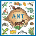 The Life and Times of the Ant - Paperback