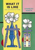 What It Is Like: New and Selected Poems - Paperback