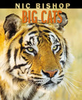 Nic Bishop Big Cats - Hardcover