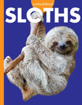 Curious about Sloths - Paperback