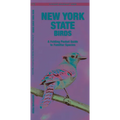 New York State Birds: A Folding Pocket Guide to Familiar Species