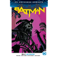 Batman Vol. 2: I Am Suicide (2024 Edition) - Paperback