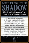 Meeting the Shadow: The Hidden Power of the Dark Side of Human Nature - Paperback