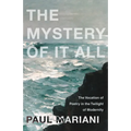 The Mystery of It All: The Vocation of Poetry in the Twilight of Modernity - Paperback