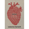 Murmur - Paperback