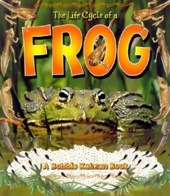 The Life Cycle of a Frog - Paperback