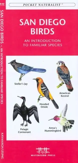 San Francisco Birds: An Introduction to Familiar Species