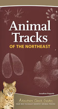 Animal Tracks of the Northeast: Your Way to Easily Identify Animal Tracks - Spiral