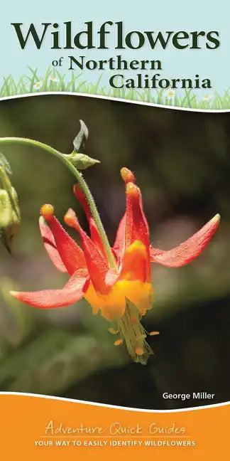 Wildflowers of Northern California: Your Way to Easily Identify Wildflowers - Spiral