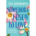 Somebody I Used to Love - Paperback