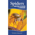 Spiders of the United States & Canada: Easily Identify 158 Common Species - Spiral