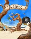 Bristlecone: The Secret Life of the World's Oldest Tree - Hardcover