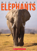 Nic Bishop Elephants - Hardcover