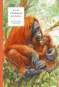Atlas of Endangered Animals - Hardcover