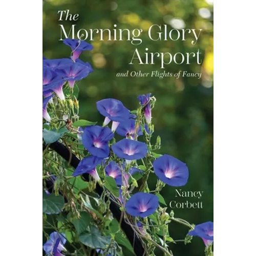 The Morning Glory Airport and Other Flights of Fancy - Paperback