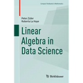 Linear Algebra in Data Science - Paperback
