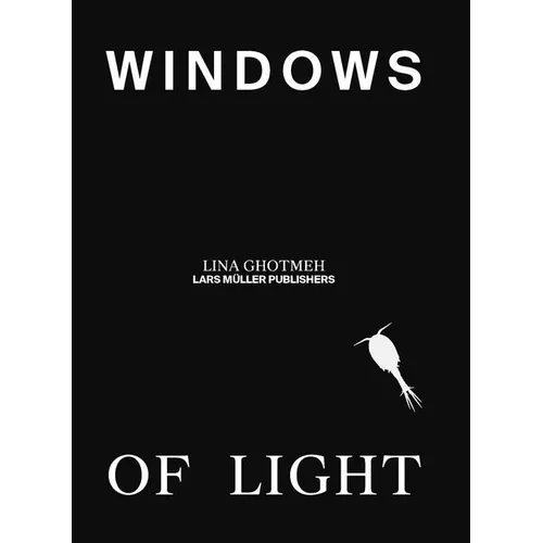 Windows of Light - Hardcover