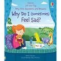 Very First Questions & Answers: Why Do I (Sometimes) Feel Sad? - Board Book