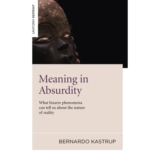 Meaning in Absurdity: What Bizarre Phenomena Can Tell Us about the Nature of Reality - Paperback