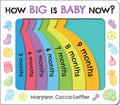 How Big Is Baby Now? - Board Book