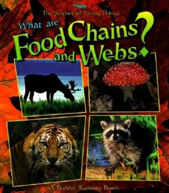 What Are Food Chains and Webs? - Paperback