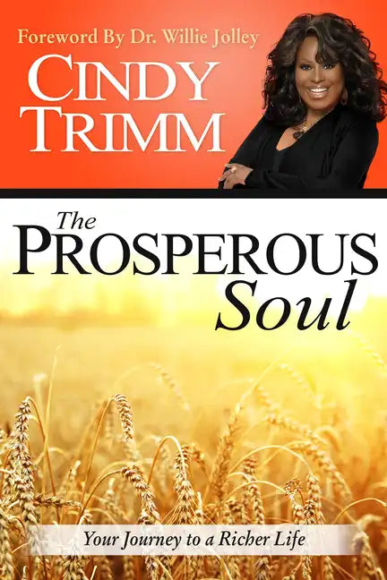 The Prosperous Soul: Your Journey to a Richer Life - Paperback