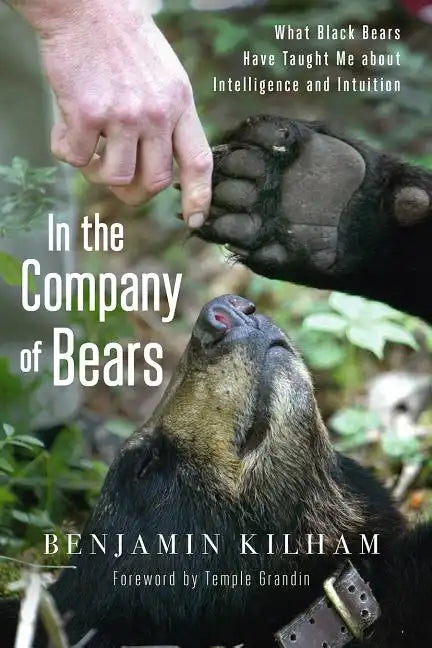 In the Company of Bears: What Black Bears Have Taught Me about Intelligence and Intuition - Paperback