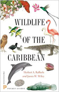 Wildlife of the Caribbean - Paperback