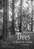 Trees in Black & White: A Visual Tour - Paperback