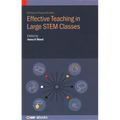 Effective Teaching in Large STEM Classes - Hardcover