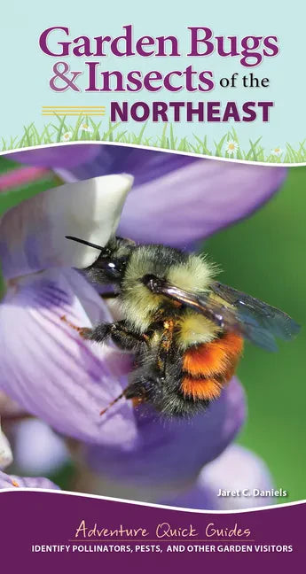 Garden Bugs & Insects of the Northeast: Identify Pollinators, Pests, and Other Garden Visitors - Spiral