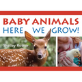 Animals!: Here We Grow - Board Book